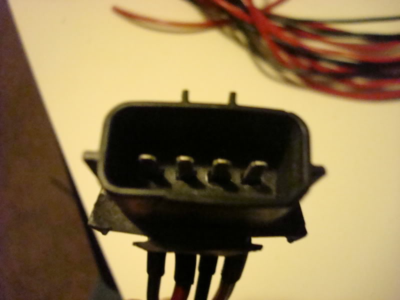 Name:  COPsharnesswires003.jpg
Views: 140
Size:  53.2 KB