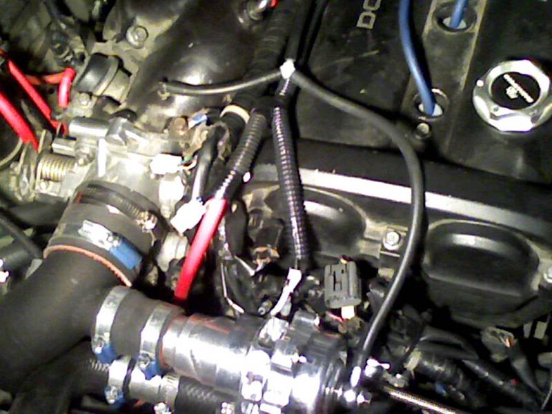 Name:  BOV.jpg
Views: 125
Size:  68.2 KB