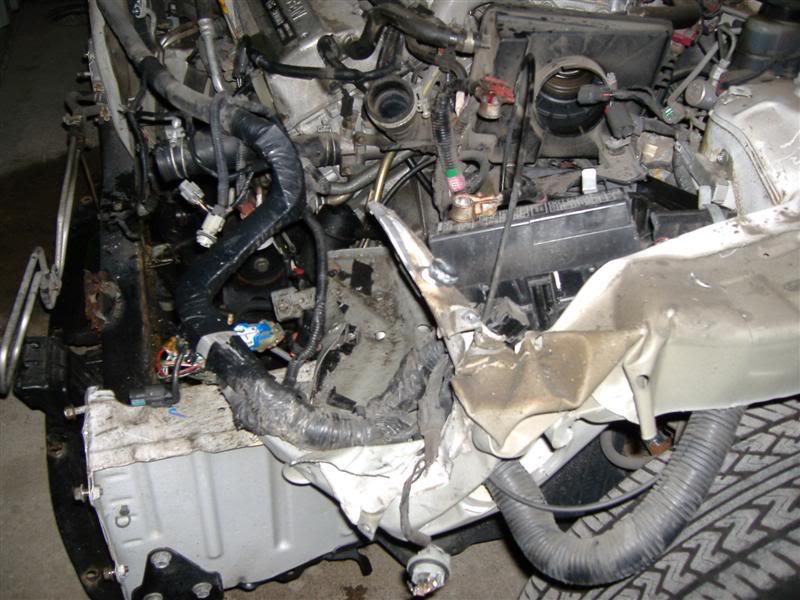 Name:  DSCF1180Medium.jpg
Views: 149
Size:  82.2 KB