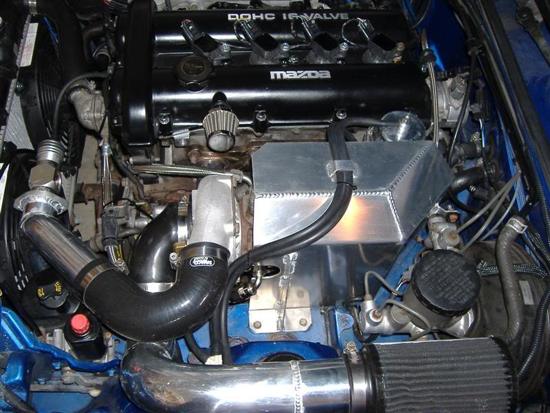 Name:  T3_T4_hybridMedium.jpg
Views: 66
Size:  88.9 KB