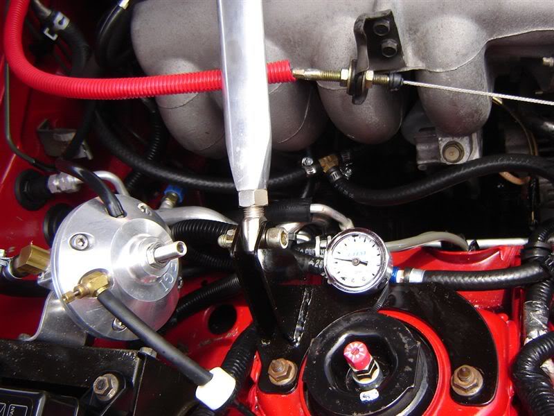 Name:  DSC04369.jpg
Views: 73
Size:  80.6 KB