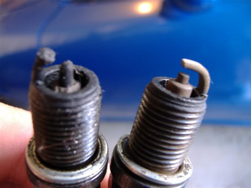 Name:  DSCF1053Medium.jpg
Views: 999
Size:  38.7 KB