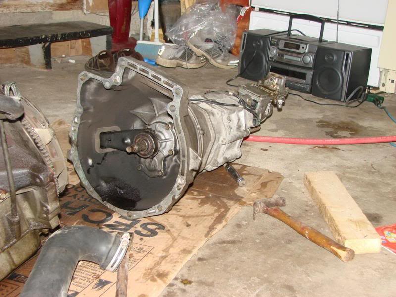 Name:  DSC01249.jpg
Views: 109
Size:  82.1 KB