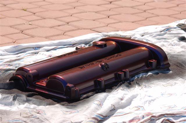 Name:  DSC_8199Small.jpg
Views: 127
Size:  40.7 KB