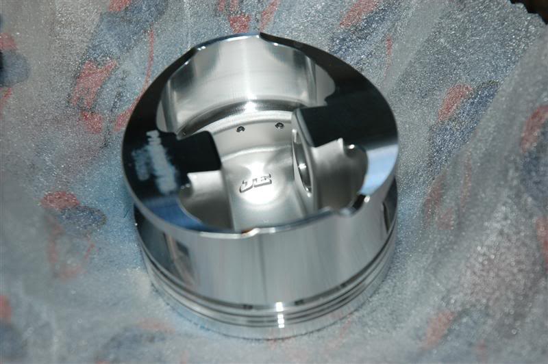 Name:  DSC_7740Medium.jpg
Views: 98
Size:  57.2 KB