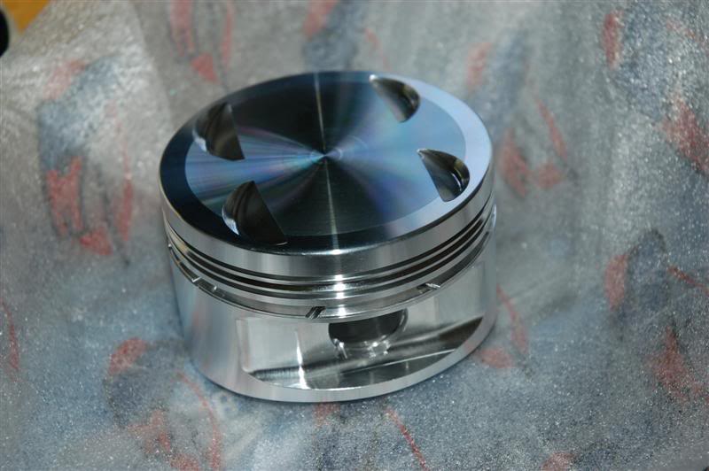 Name:  DSC_7741Medium.jpg
Views: 95
Size:  53.4 KB