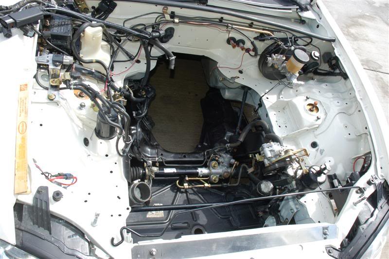 Name:  DSC_7734Medium.jpg
Views: 97
Size:  76.4 KB