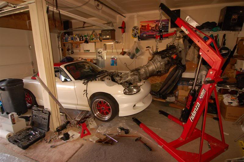 Name:  DSC_7288Medium.jpg
Views: 105
Size:  68.7 KB