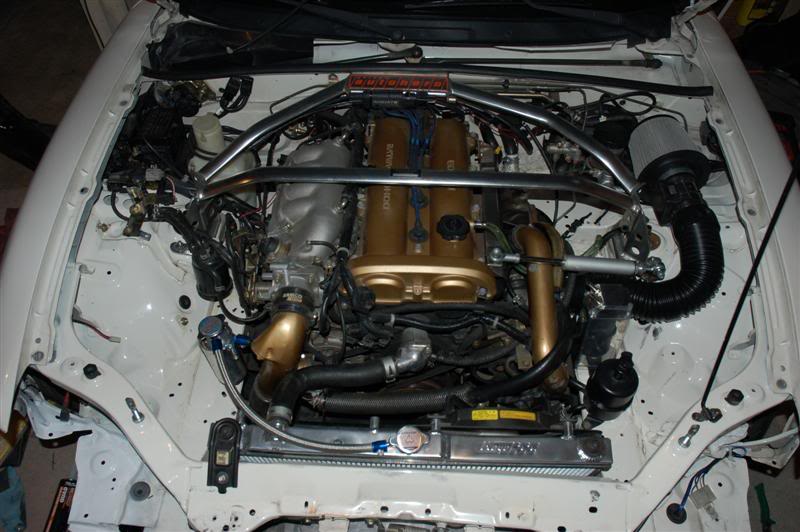 Name:  DSC_5277Medium.jpg
Views: 120
Size:  69.7 KB