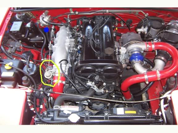 Name:  100_22447.jpg
Views: 5654
Size:  66.1 KB