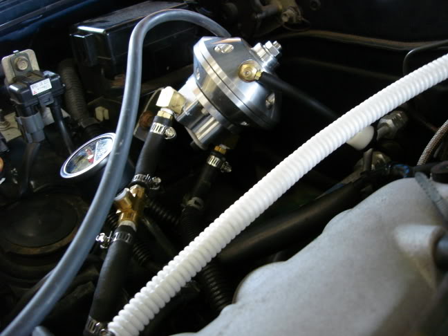 Name:  DSC00351.jpg
Views: 3457
Size:  50.2 KB