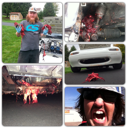 Name:  5WiZQ.png
Views: 329
Size:  394.6 KB