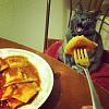 Carbon Buildup on turbo, Car running poorly.-cat-ready-ravioli.jpg
