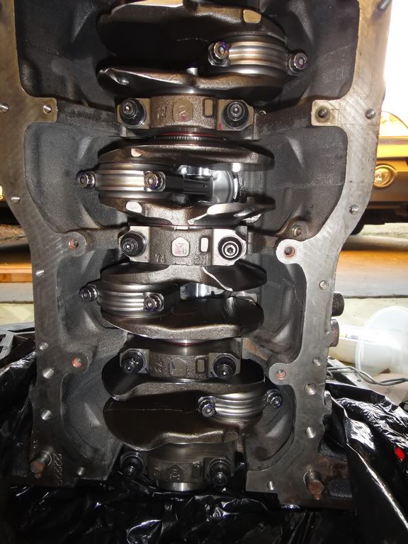 Name:  DSC00401-1.jpg
Views: 320
Size:  103.5 KB