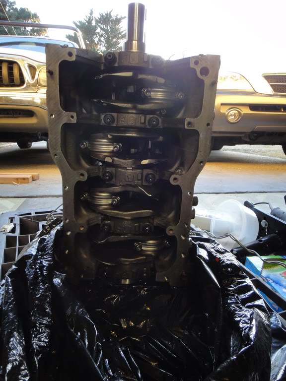 Name:  DSC00400-1.jpg
Views: 303
Size:  89.5 KB