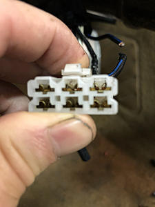 Connector Witch Hunt-photo659.jpg