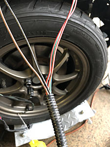 Connector Witch Hunt-photo751.jpg