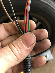 Connector Witch Hunt-photo967.jpg