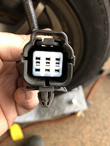 Connector Witch Hunt-photo652.jpg