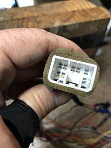 Connector Witch Hunt-photo758.jpg