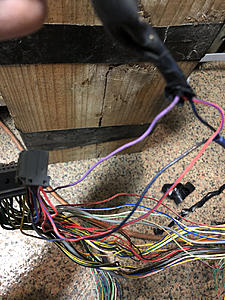 Connector Witch Hunt-photo591.jpg
