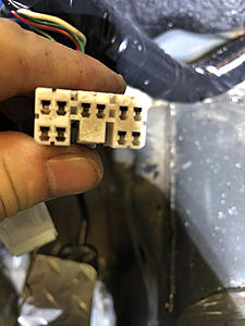 Connector Witch Hunt-photo235.jpg