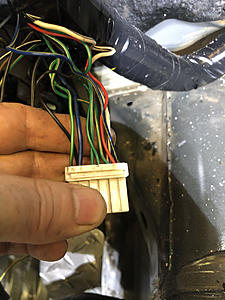 Connector Witch Hunt-photo999.jpg