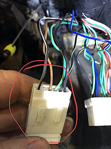 Connector Witch Hunt-photo60.jpg