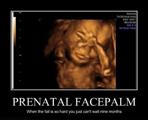 Name:  PrenatalFacepalm.jpg
Views: 43
Size:  22.3 KB