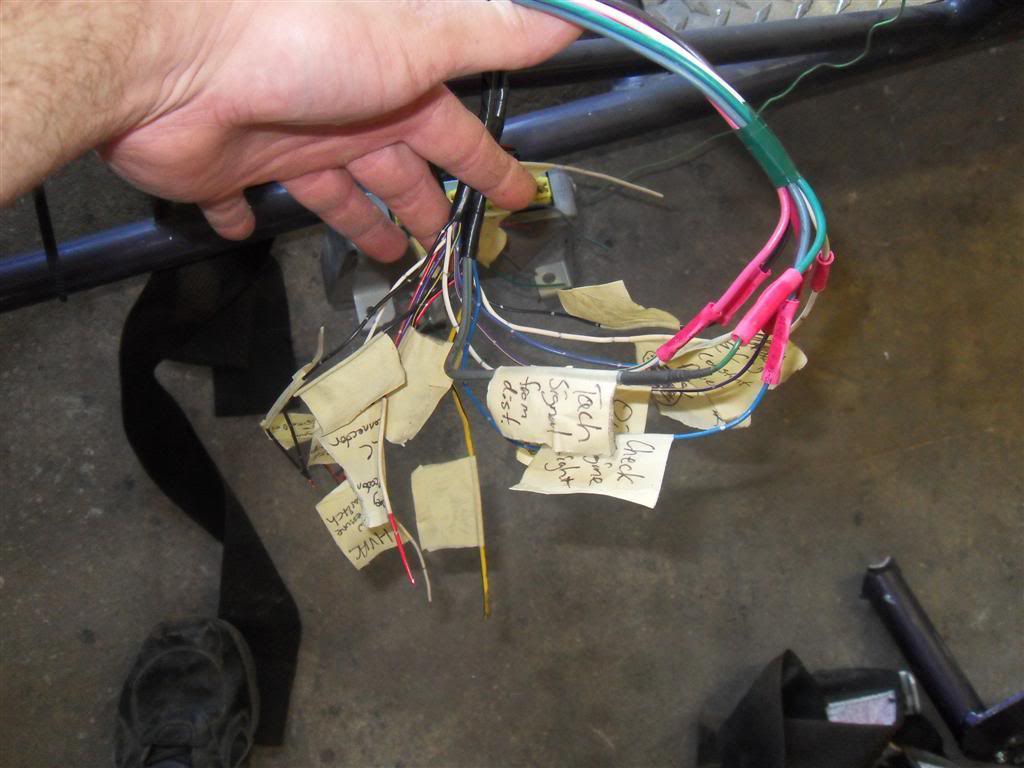 Name:  SDC11969Large.jpg
Views: 406
Size:  82.3 KB