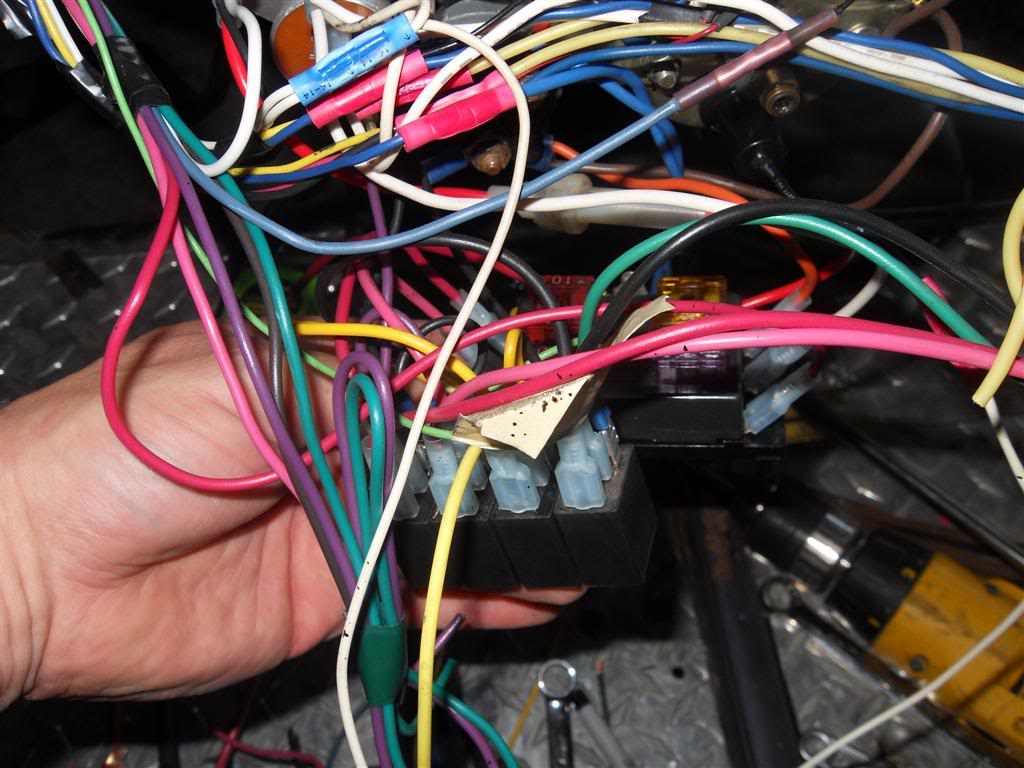 Name:  SDC11963Large.jpg
Views: 455
Size:  116.4 KB