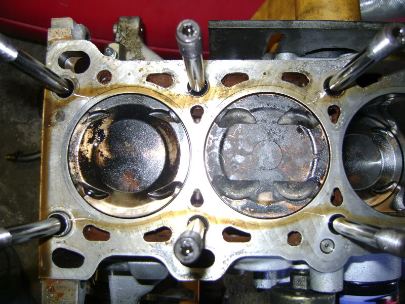 Name:  DSC02272.jpg
Views: 218
Size:  150.8 KB