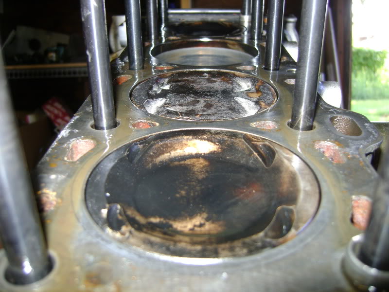 Name:  DSC02273.jpg
Views: 205
Size:  105.4 KB