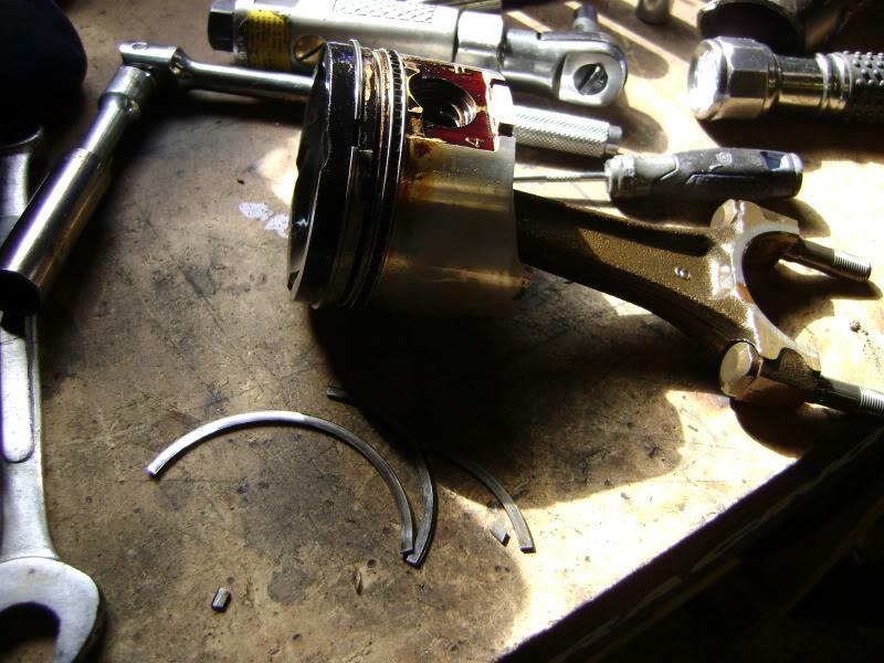 Name:  DSC02266.jpg
Views: 243
Size:  127.4 KB