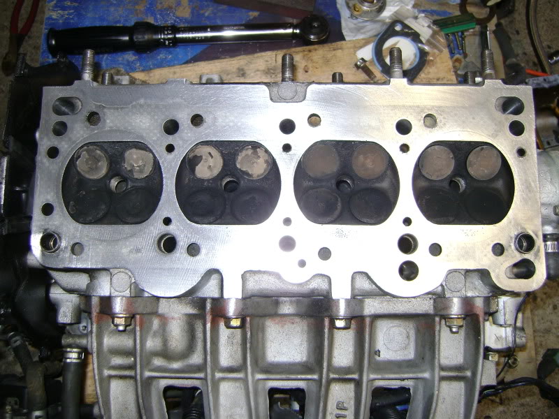 Name:  DSC02218.jpg
Views: 234
Size:  137.3 KB