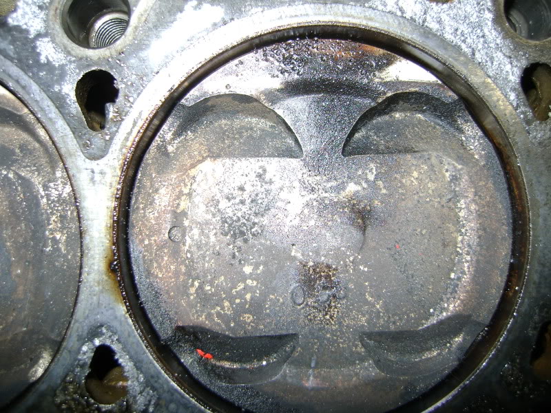 Name:  DSC02189.jpg
Views: 228
Size:  189.8 KB