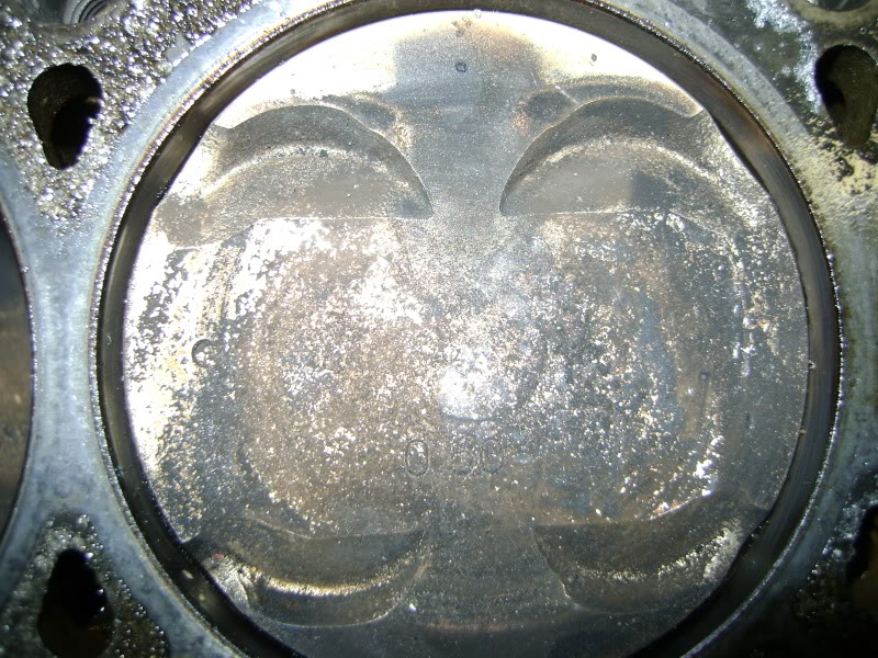 Name:  DSC02190.jpg
Views: 234
Size:  183.3 KB