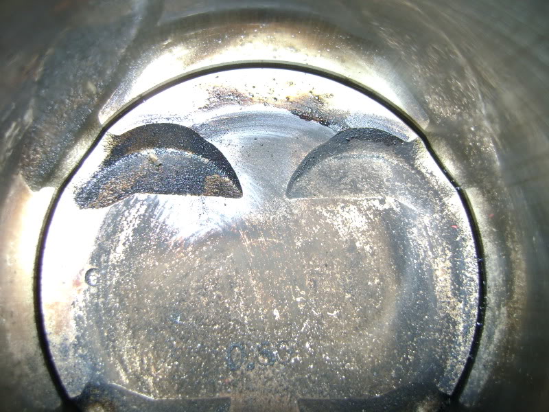 Name:  DSC02191.jpg
Views: 216
Size:  156.8 KB