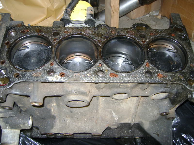 Name:  DSC02176.jpg
Views: 275
Size:  155.1 KB