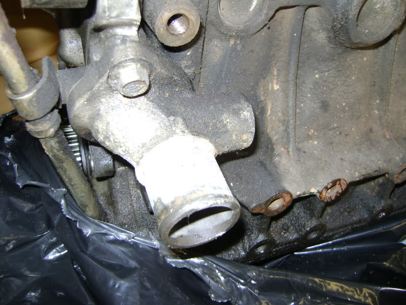 Name:  DSC02179.jpg
Views: 243
Size:  137.2 KB