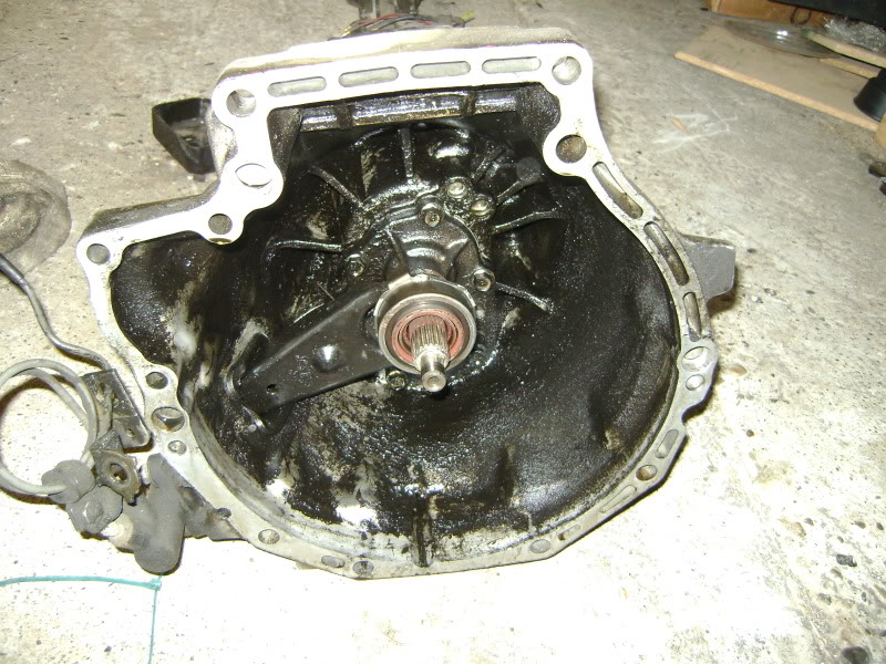 Name:  DSC02182.jpg
Views: 257
Size:  159.7 KB