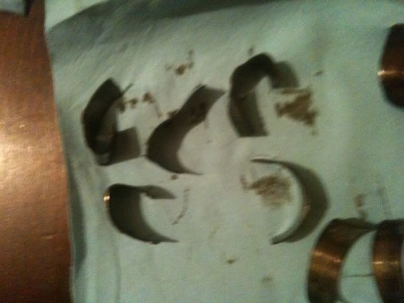 Name:  photo-8.jpg
Views: 99
Size:  57.2 KB