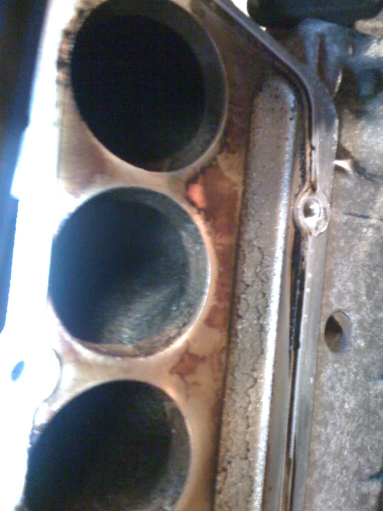 Name:  IMG_0393.jpg
Views: 419
Size:  97.9 KB