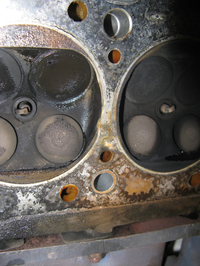 Name:  IMG_0408.jpg
Views: 448
Size:  186.0 KB