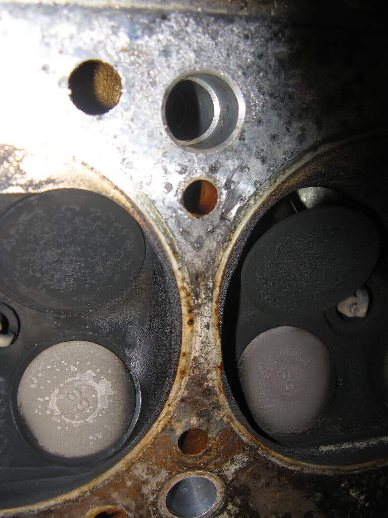 Name:  IMG_0409.jpg
Views: 432
Size:  130.0 KB