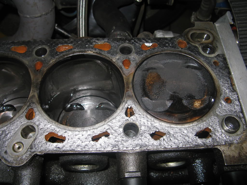 Name:  IMG_0412.jpg
Views: 481
Size:  199.8 KB