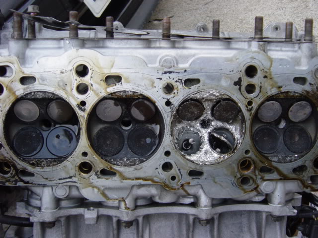 Name:  DSC02196.jpg
Views: 389
Size:  71.0 KB