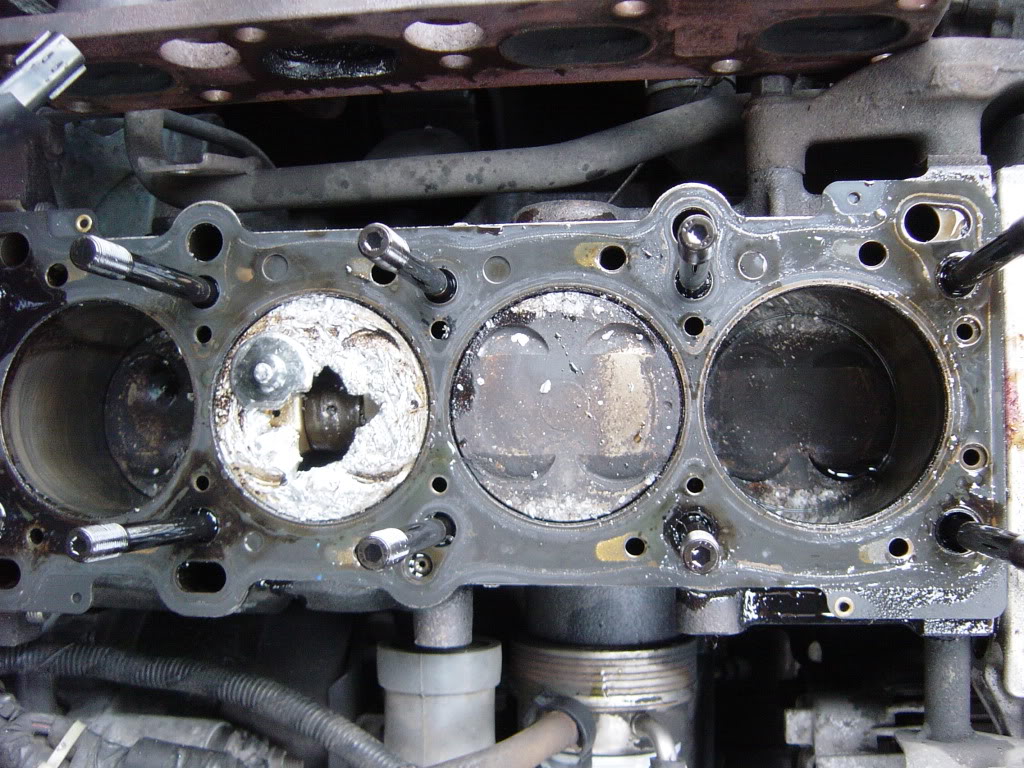 Name:  DSC02199.jpg
Views: 455
Size:  195.9 KB