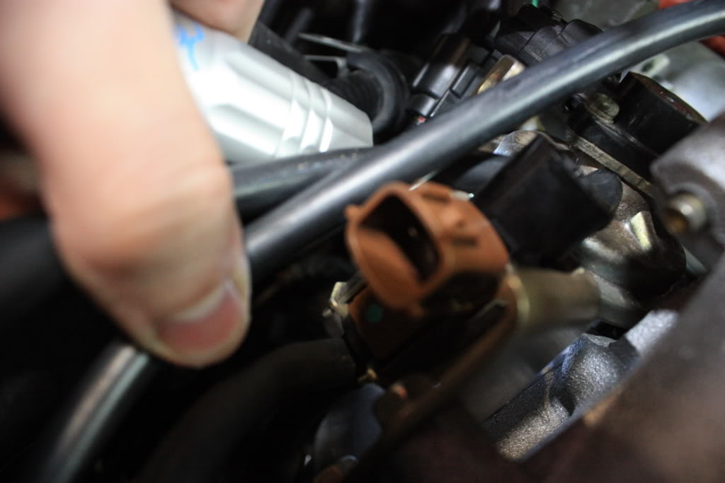 Name:  IMG_1018.jpg
Views: 109
Size:  67.0 KB