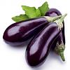Need Input AFR on boost-aubergine_-_eggplant.jpg